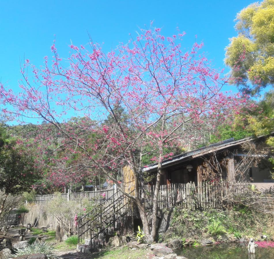 Bright Moon Homestay Dongshi  Zewnętrze zdjęcie