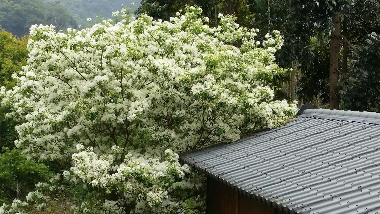 Bright Moon Homestay Dongshi  Zewnętrze zdjęcie