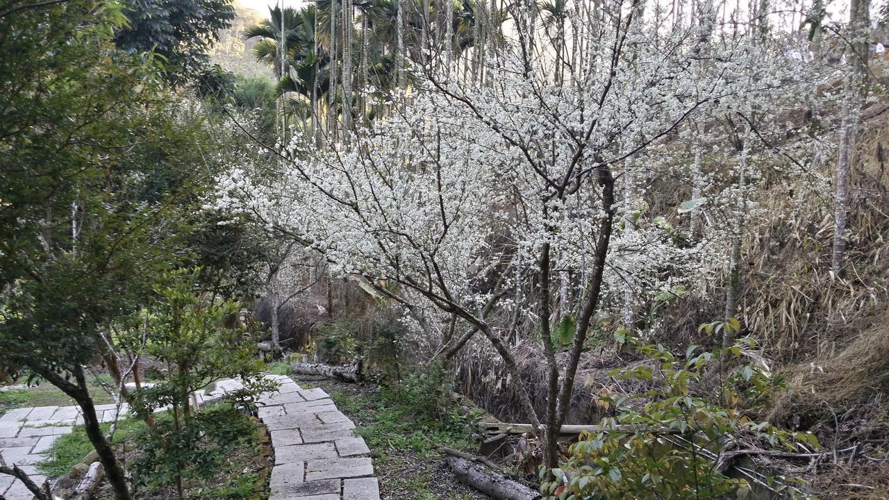 Bright Moon Homestay Dongshi  Zewnętrze zdjęcie